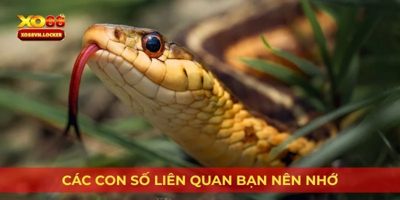 Các con số liên quan bạn nên nhớ